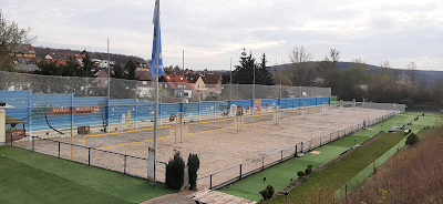 Willi Meiser Beacharena